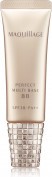 Shiseido Maquillage Perfect Multi Base BB